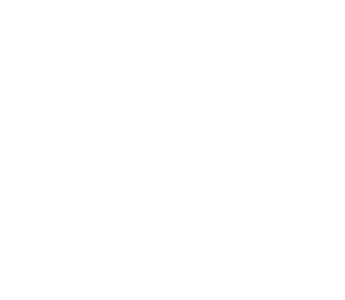 NWA Championship logo